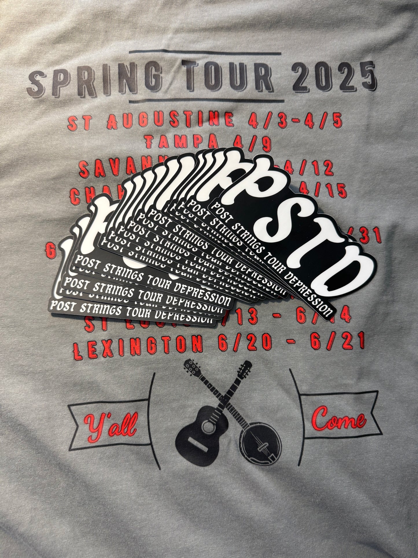 PSTD Post Strings Tour Depression Sticker